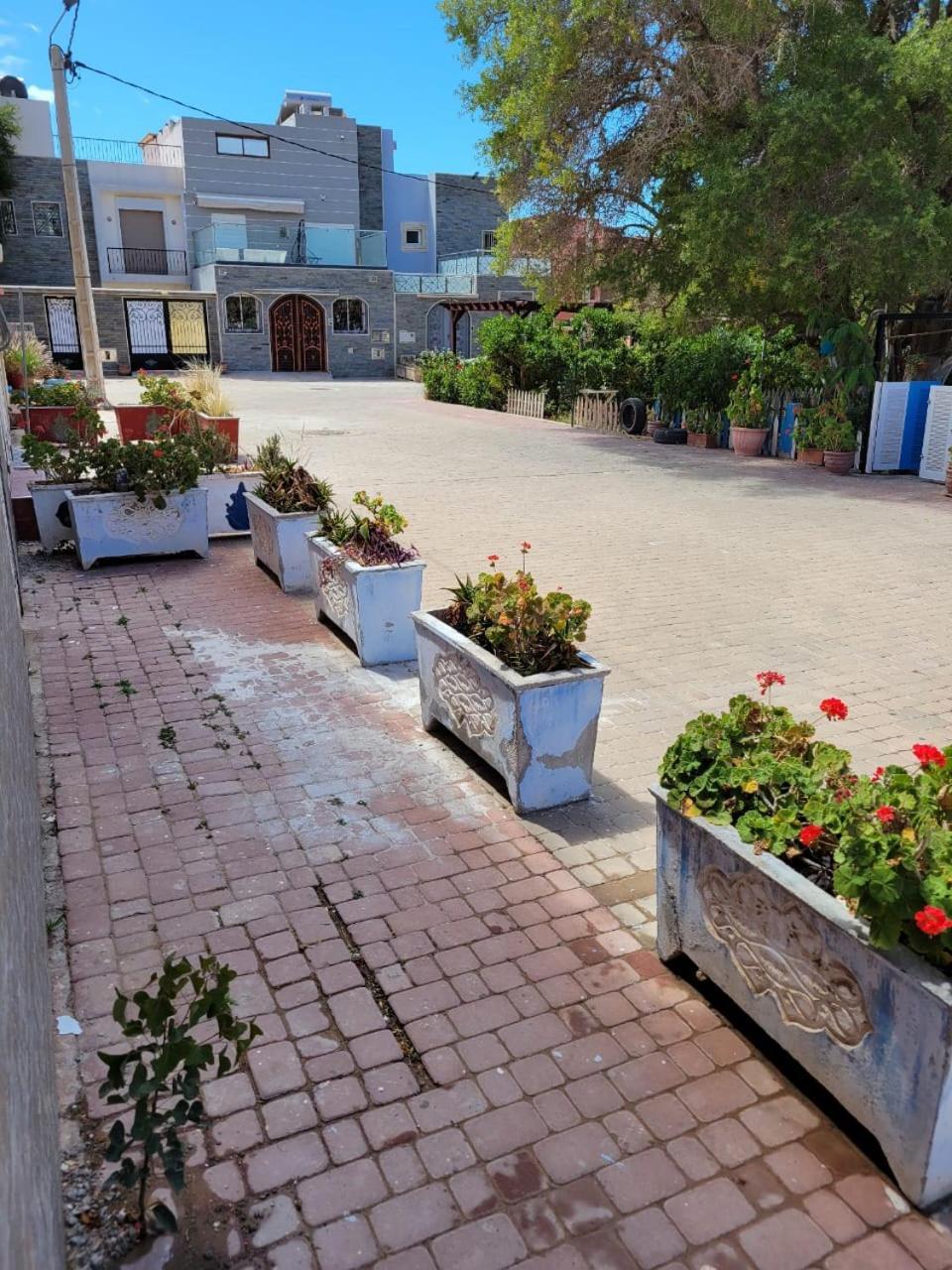 Imi Ouaddar Apartment Just Steps From The Beach Agadir n'Ait Sa Экстерьер фото