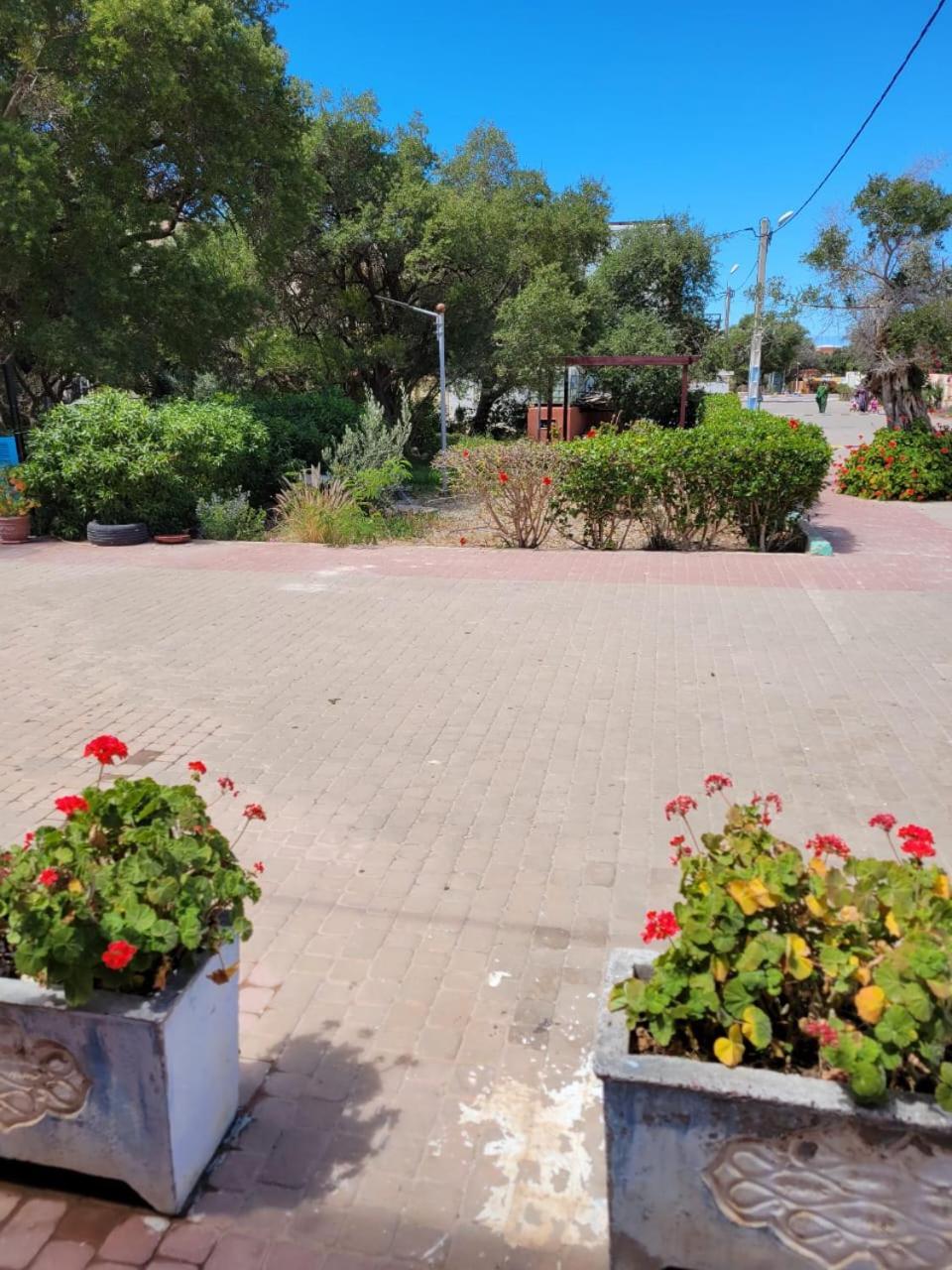 Imi Ouaddar Apartment Just Steps From The Beach Agadir n'Ait Sa Экстерьер фото